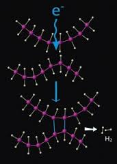 The Ionizing Radiation and Polymers Symposium